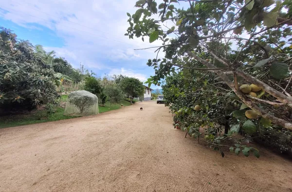 Chácara Mobiliada com 2.500m² em Areias de Baixo – R$ 1.250.000 - Foto 18