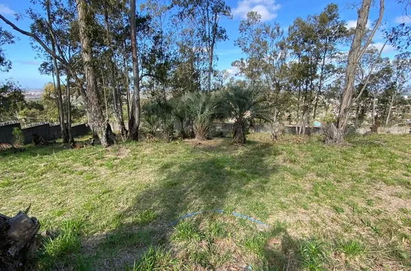 Terreno em Condomínio Eco Resort – 1.320m² – Santa Isabel, Viamão - Foto 6