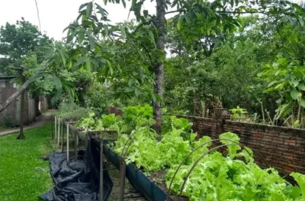 Terreno com 5.573,65 à Venda no Centro de Santa Cruz do Sul/RS - Foto 5