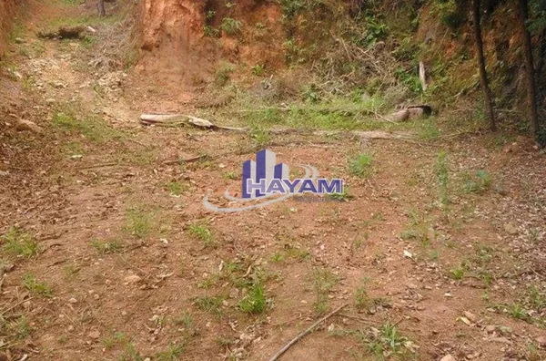 Terreno na Vila Oliveira
