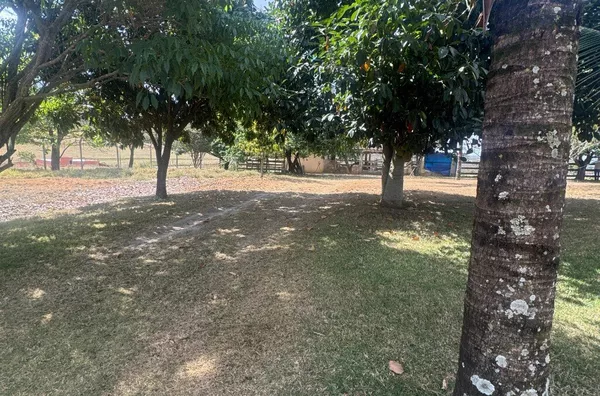 Sítio para venda,  Elias Fausto