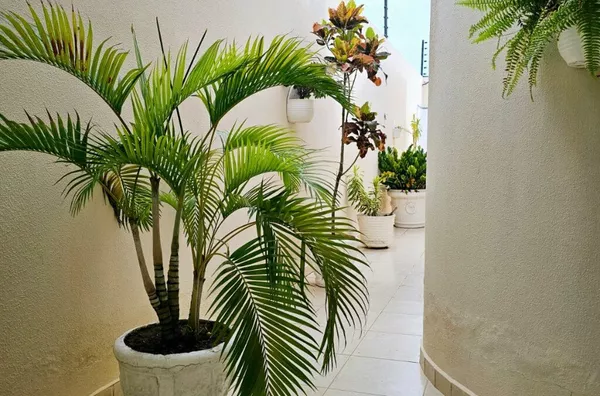 Casa 3/4, sendo um suíte e energia solar à venda no Bairro Caminho Do Sol - Petrolina - Foto 2