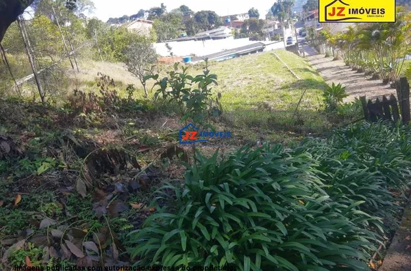 TERRENO EM JARDIM PONTA-PORÃ (MAILASQUI)