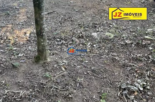 TERRENO EM Bairro Lagoa