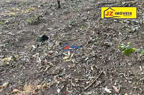 TERRENO EM Bairro Lagoa