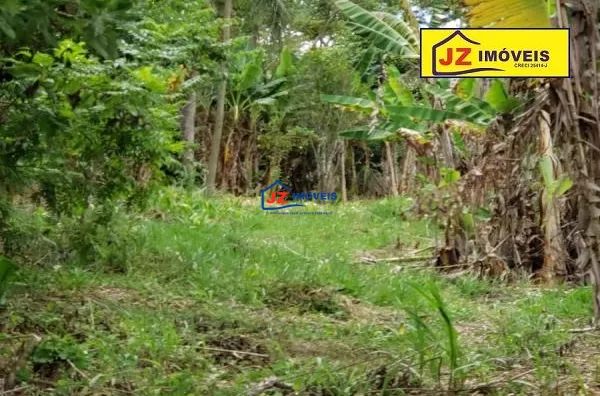 CHACARA EM Gabriel Pizza