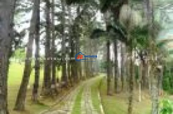 COMERCIAL EM Mailasqui