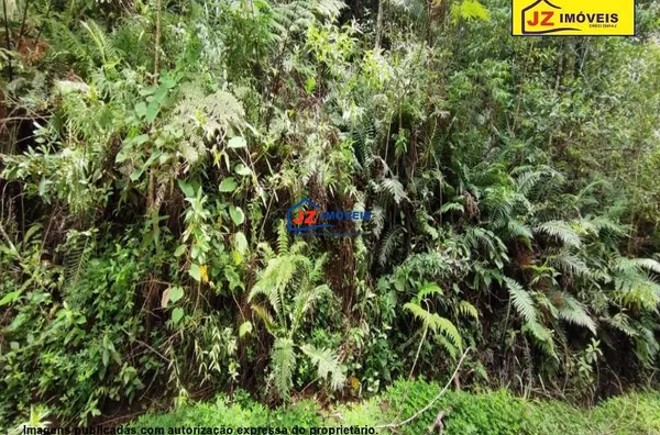 TERRENO EM Santo Antônio