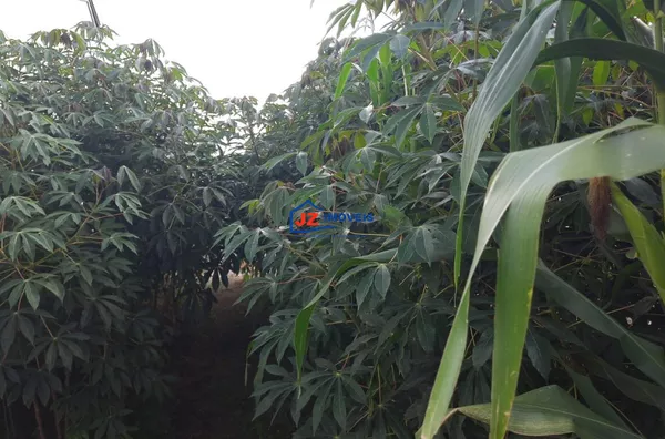 Terreno para venda,  Canguera, São Roque