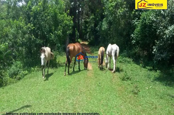 SITIO EM Jardim Guaçu