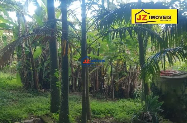 TERRENO EM São João Novo