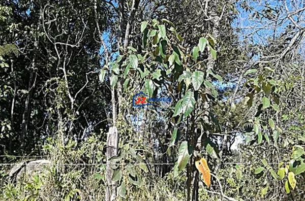 TERRENO EM Taxaquara