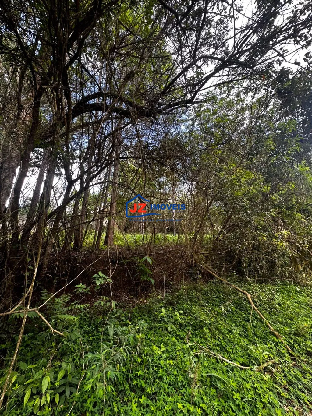 Terreno em Saboó (Recanto das Acácias), São Roque - TERRENO EM SABOÓ - Foto 9