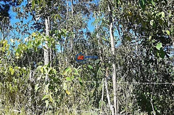 TERRENO EM Taxaquara