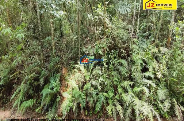 TERRENO EM Santo Antônio