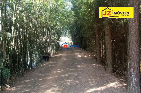 SITIO EM Pinherinho
