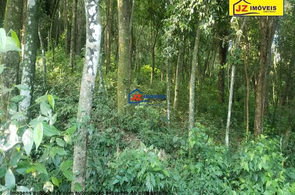 TERRENO EM Chácara Flora