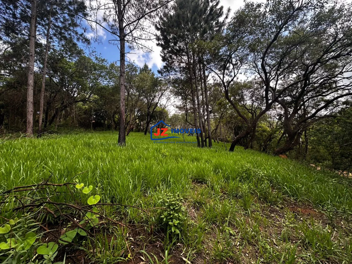 Terreno em Saboó (Recanto das Acácias), São Roque - TERRENO EM SABOÓ - Foto 4