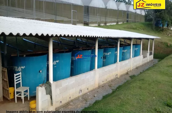GALPAO EM PAVÃO