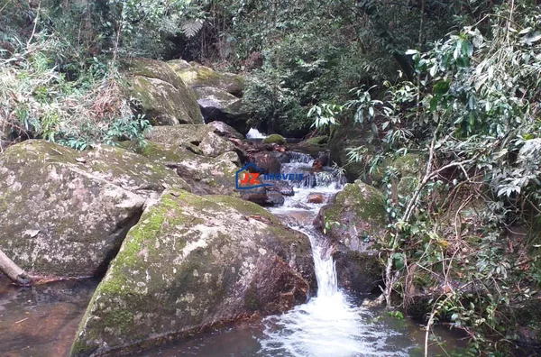 Sítio para venda,  Serra da Bocaína, São Paulo