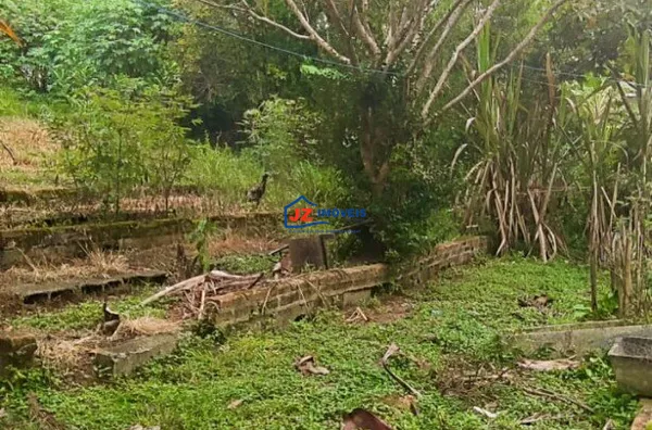 Chácara para venda,  Planalto Verde , São Roque