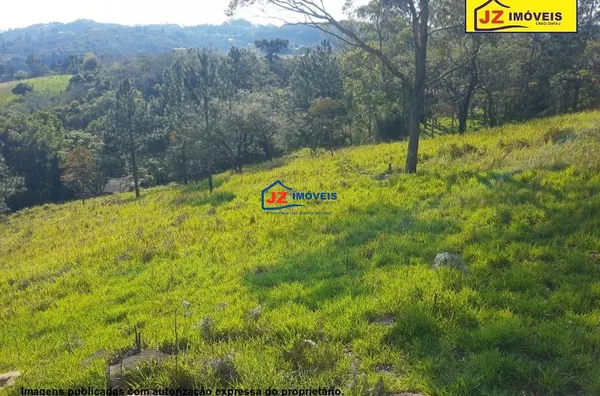 SITIO EM JARDIM PONTA-PORÃ (MAILASQUI)