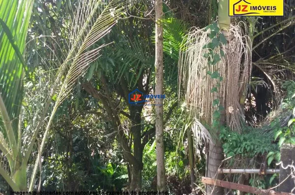 TERRENO EM Junqueira