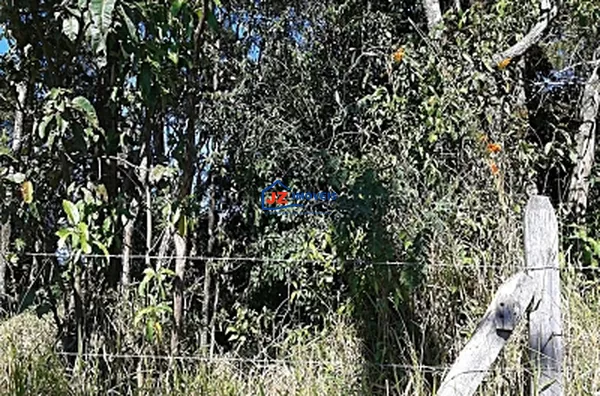 TERRENO EM Taxaquara