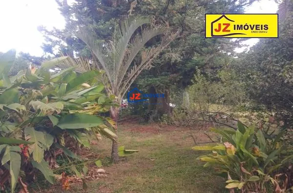 TERRENO EM São João Novo