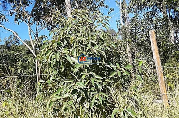 TERRENO EM Taxaquara