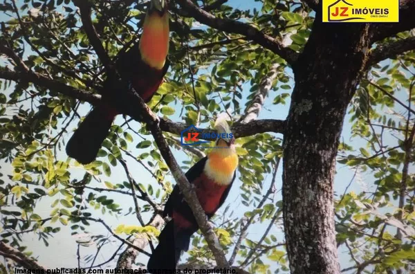 CHACARA EM Mailasque