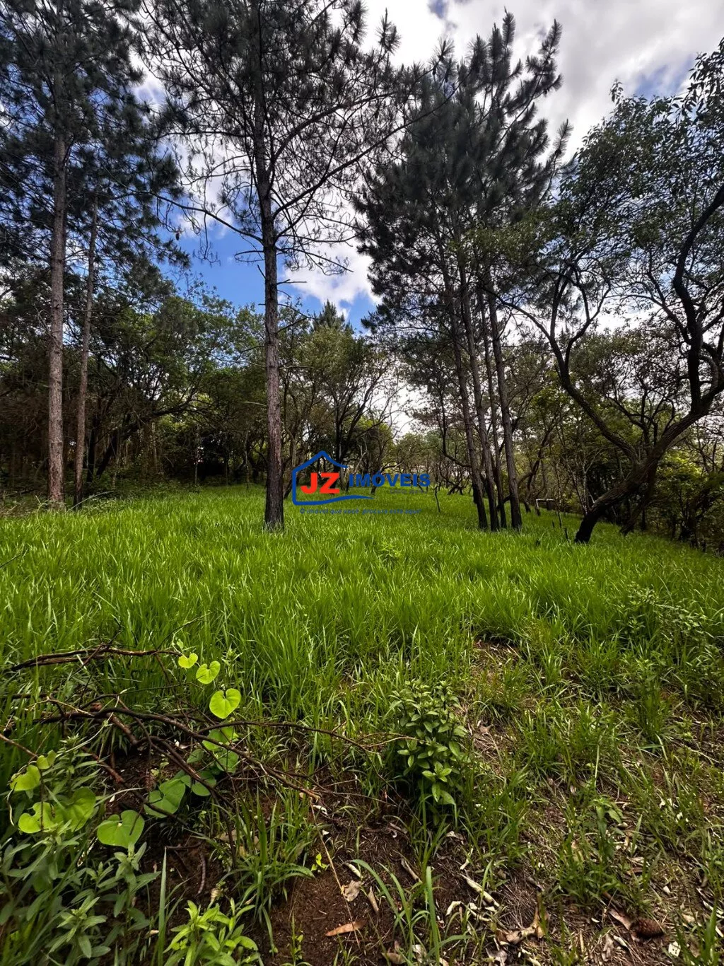 Terreno em Saboó (Recanto das Acácias), São Roque - TERRENO EM SABOÓ - Foto 2