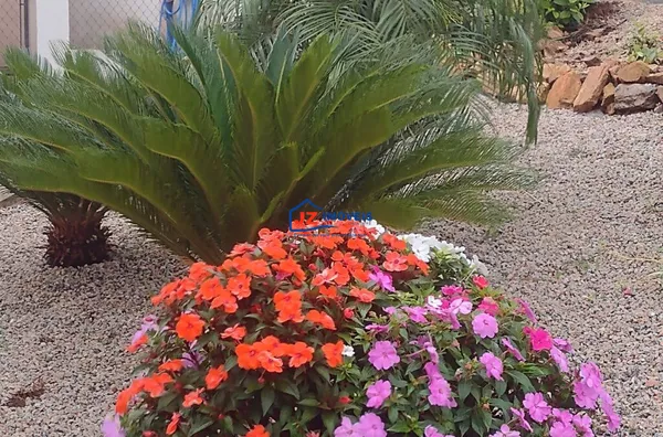 Casa em  Vila Granada