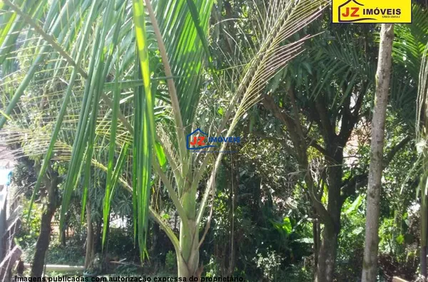 TERRENO EM Junqueira