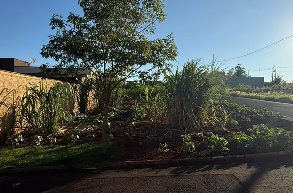 Terreno para ,  - Selecione - Bairro, Sao Pedro Do Ivai - Foto 2