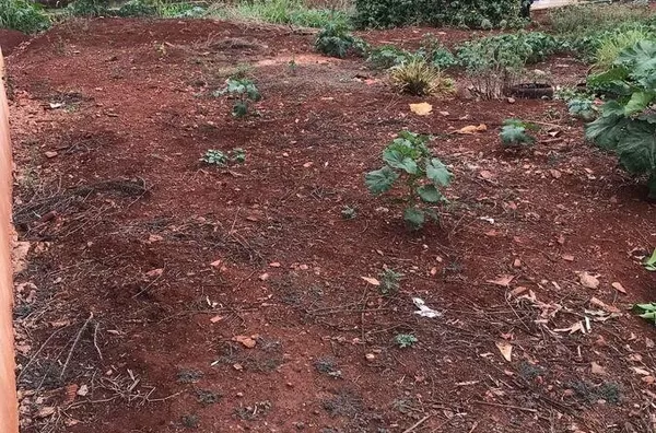 Terreno para venda,  , Sao Pedro Do Ivai - Foto 4