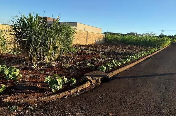 Terreno para ,  - Selecione - Bairro, Sao Pedro Do Ivai - Foto 1