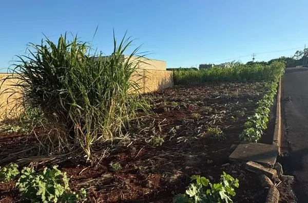 Terreno para ,  - Selecione - Bairro, Sao Pedro Do Ivai - Foto 4