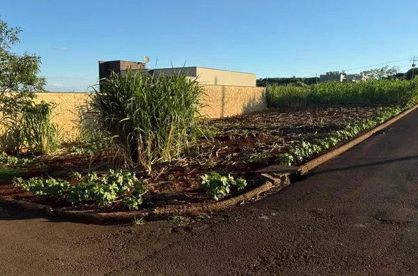 Terreno para ,  - Selecione - Bairro, Sao Pedro Do Ivai - Foto 3