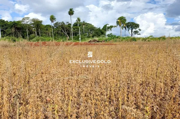 Terreno para venda,  Fraron, Pato Branco