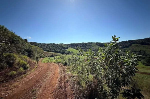 OPORTUNIDADE IMPERDÍVEL! SÍTIO COM 32 ALQUEIRES PERTO DE FCO. BELTRÃO - DE R$ 3.500.000,00 POR R$ 2.500.000,00  - SOMENTE ATÉ 30/05/26 - DUPLA APTIDÃO