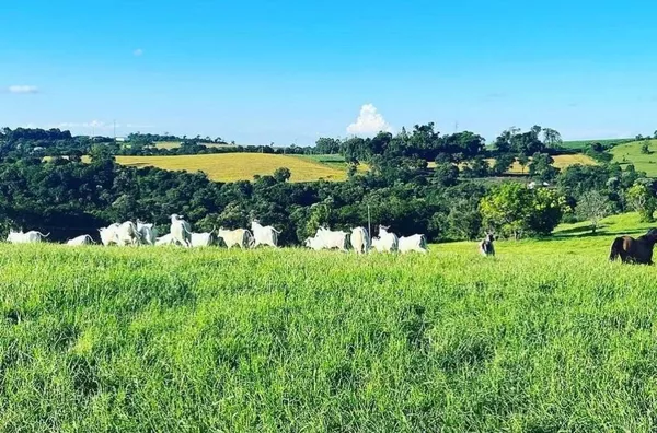 FAZENDA EM REALEZA COM 38 ALQUEIRES