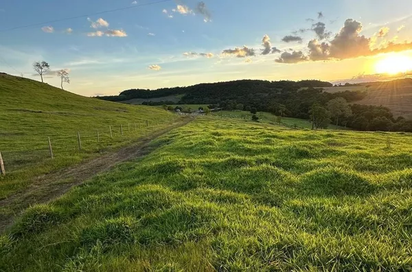LINDA FAZENDA EM REALEZA