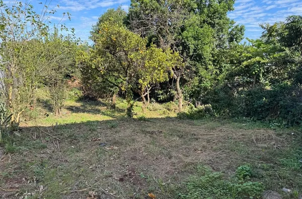 LOTE URBANO COM CASA DE MADEIRA ANTIGA, NO BAIRRO VILA NOVA - Foto 5