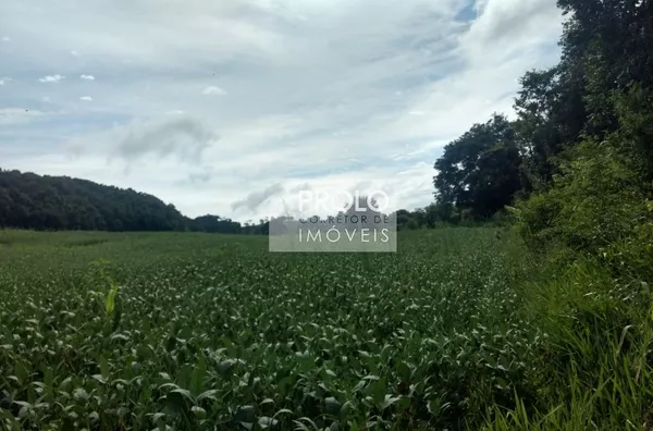 SÍTIO DE 2,8 HECTARES, PRÓXIMO ENÉAS MARQUES.