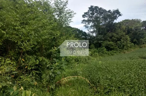 SÍTIO DE 2,8 HECTARES, PRÓXIMO ENÉAS MARQUES.