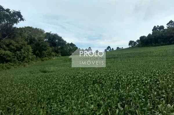 SÍTIO DE 2,8 HECTARES, PRÓXIMO ENÉAS MARQUES.