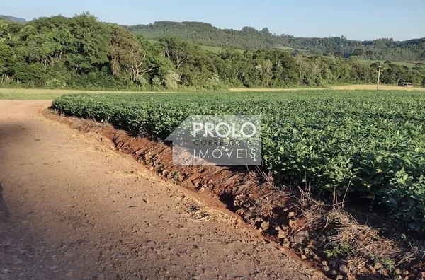 CHÁCARA/SITÍO 2,5 ALQUEIRES, COM GRANJA DE SUÍNO.