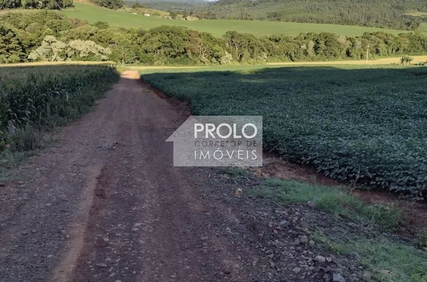 CHÁCARA/SITÍO 2,5 ALQUEIRES, COM GRANJA DE SUÍNO.
