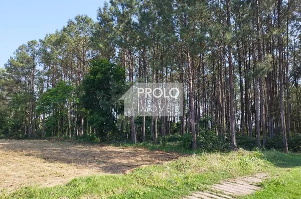 TERRENO URBANO 45.988M²